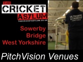 Cricket Asylum